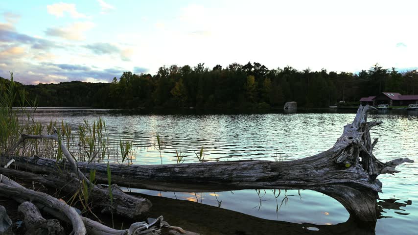 A fallen weathered tree trunk extends beside still water and reeds at Green Lakes State Park in New York.