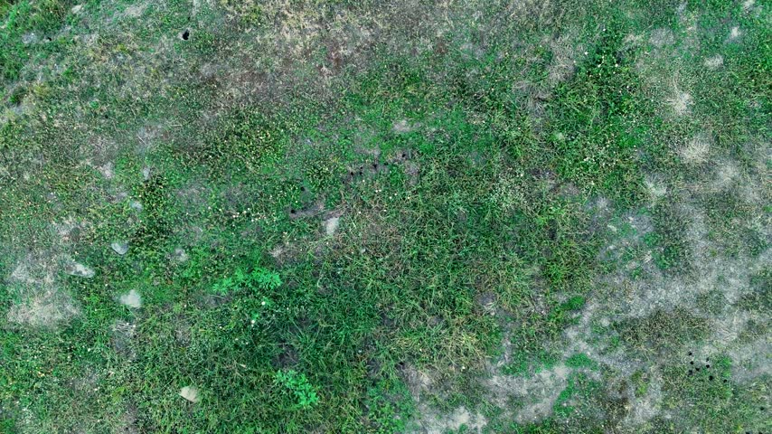 Aerial view of the ancient Roman military camp site of Aquis Querquennis with stone foundations set in grassy terrain in Porto-Quintela, Ourense, Spain.