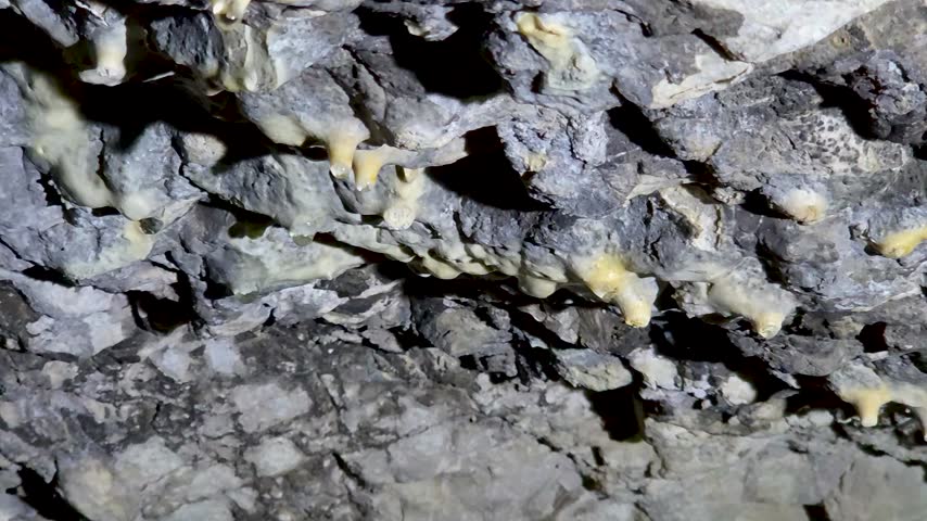 Close-up of small stalactites with water drops on cave ceiling illuminated by light inside dark underground tunnel.