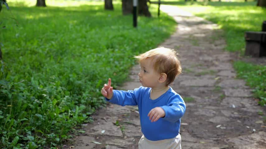 Little Boy Wanders Forward On Park Alley, Showing Wonder And Lively Energy. Sweet Small Child In Blue Shirt Practices Walking Along Garden Walkway, Enjoying Peaceful Family Leisure Time.