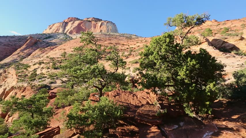 Sandstone formations near Pine Creek Canyon overlook on the Canyon Overlook Trail in Zion National Park, Utah