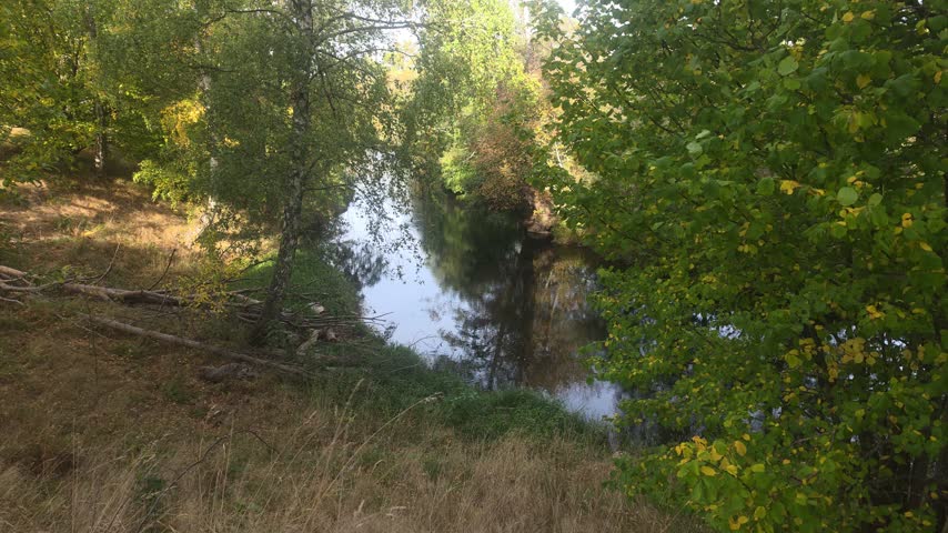 High vantage point perspective overlooking a forest river bend framed by a bright green bush foreground and dry slope bank 