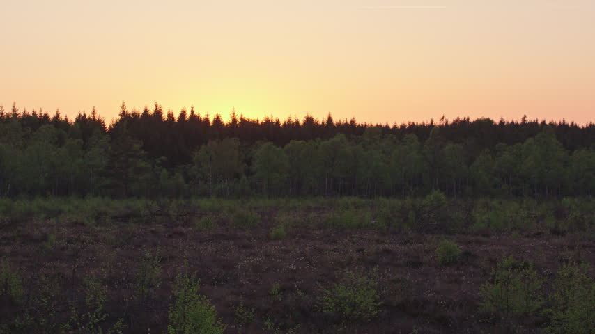 Static view of a sunset glowing behind a conifer and birch forest edge above open moorland, in warm orange light.