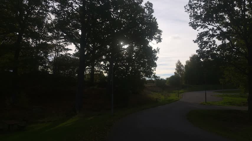 Park asphalt pathway, picnic table, autumn tree line 