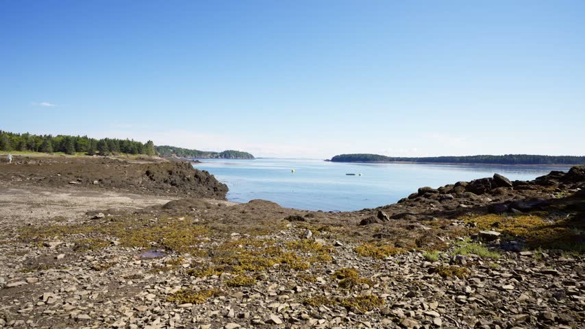 Clear shallow coastal waters rippling over a pebbled shoreline along Passamaquoddy Bay in Deer Island, New Brunswick.
