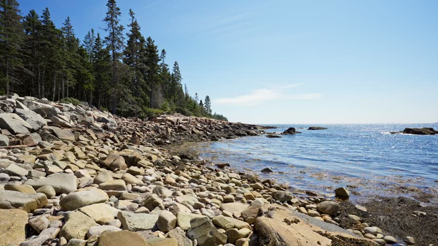 Rocky coastline and granite cobble beach bordered by dense pine forest along the shores of Schoodic Peninsula in Acadia National Park, Maine.
