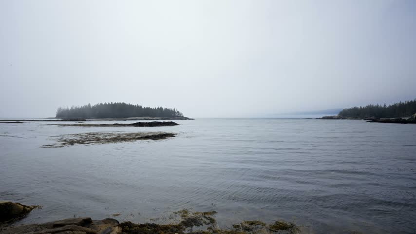 Forested island and rocky coastline framed by coastal fog over ocean waters along Schoodic Peninsula in Acadia National Park, Maine.