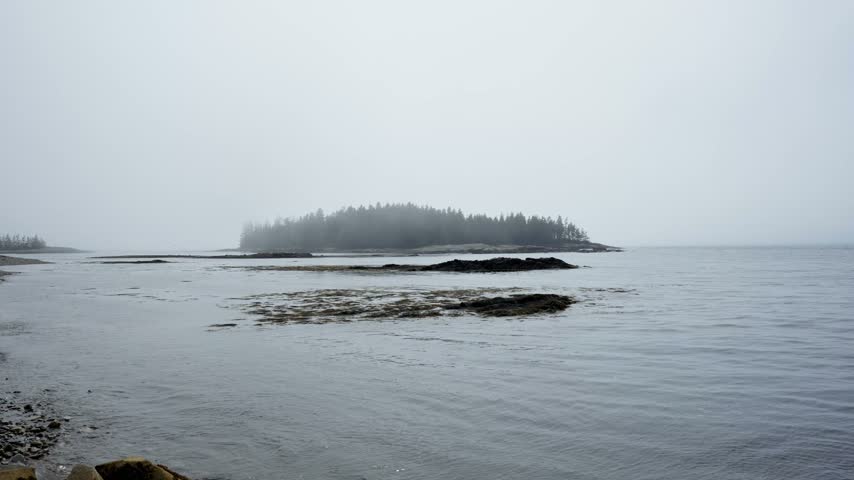Forested island and rocky coastline framed by coastal fog over ocean waters along Schoodic Peninsula in Acadia National Park, Maine.