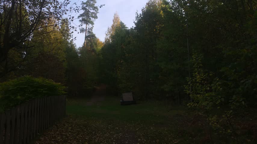 Suburban backyard boundary, wooden fence, woodland trail entrance 