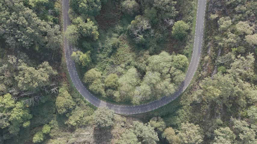 Aerial view of a winding road cutting through a dense forest landscape in Trevejo, Extremadura, Spain.