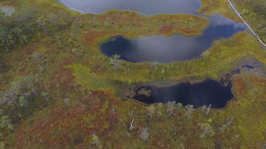 Aerial view of dark bog pools surrounded by colorful marsh vegetation and mossy terrain in Lahemaa National Park, Loksa, Harju maakond, Estonia.
