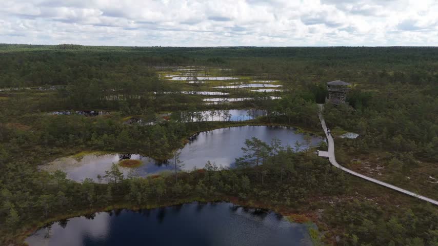 Aerial view of the wooden boardwalk winding through the ponds and marshland of Lahemaa National Park near Loksa, Harju maakond, Estonia.
