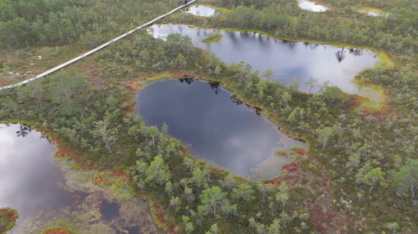 Aerial view of the bog landscape with a wooden boardwalk winding through the wetlands in Lahemaa National Park in Loksa, Harju maakond, Estonia.