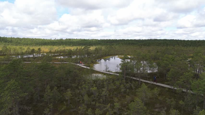 Aerial view of the wooden boardwalk winding through the bog landscape of Lahemaa National Park with pine trees and a small pond in Loksa, Harju maakond, Estonia.