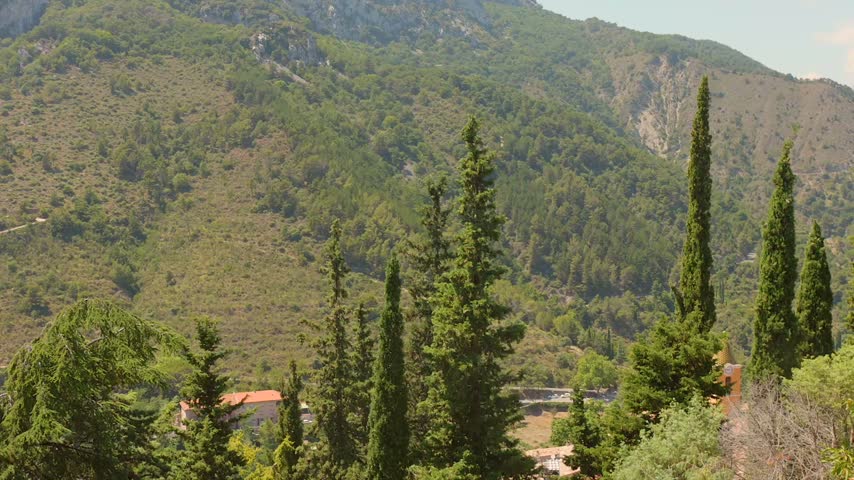 Pine tree surrounded by the small town in the mountains, France
