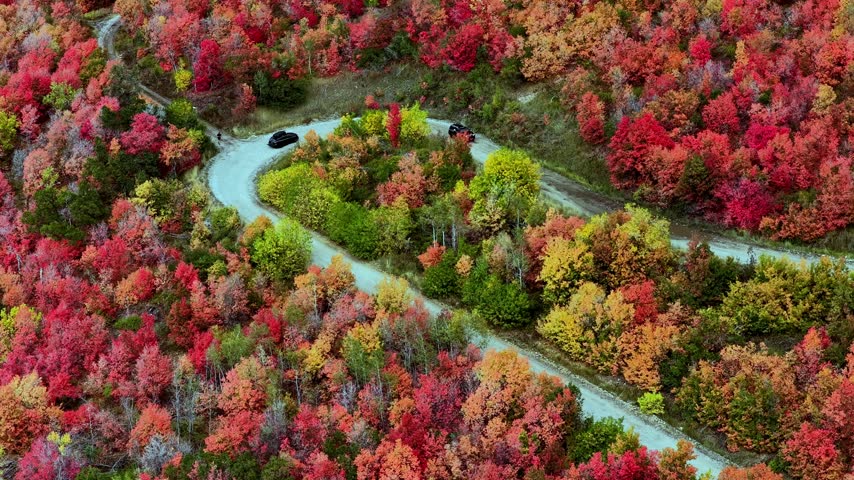 Aerial view of a winding road through vibrant autumn foliage in the Wasatch Range with cars driving along the path in Provo, Utah, United States.