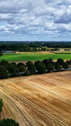 Aerial view of harvested golden wheat fields and green meadows bordered by trees under a cloudy sky in Konin, Wielkopolskie, Poland.