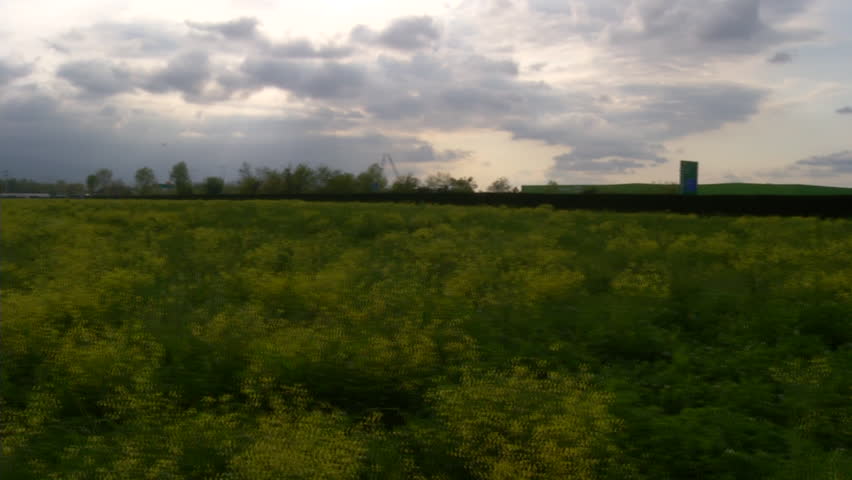 Automobile Testing Area