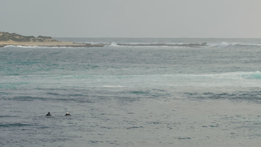 Two people wearing wetsuits paddling their surfboards in the deep blue sea while waiting for waves near the Australian coastline
