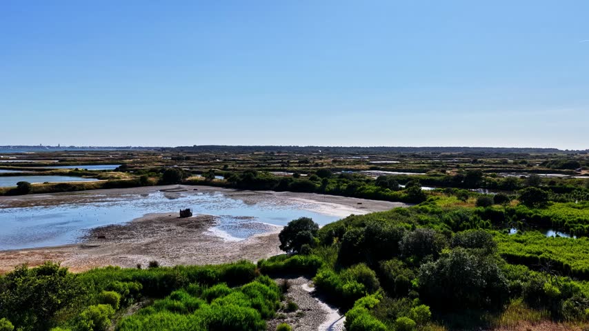 Aerial view of a salt marsh landscape featuring interconnected water pools and lush green vegetation under a clear blue sky in France.