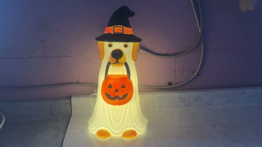Halloween Dog Holding a Pumpkin While Dressed as a Ghost Beside an Illuminated Blow Mold Decoration