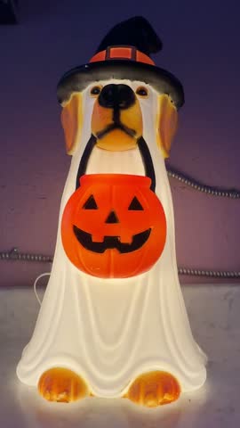 Halloween Dog Holding a Pumpkin While Dressed as a Ghost Beside an Illuminated Blow Mold Decoration