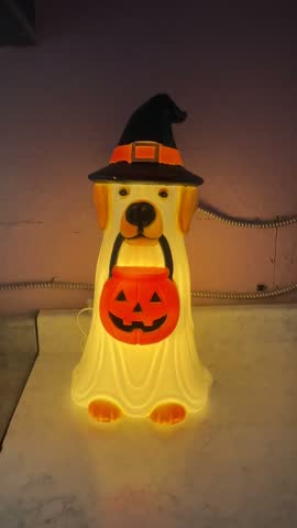Halloween Dog Holding a Pumpkin While Dressed as a Ghost Beside an Illuminated Blow Mold Decoration