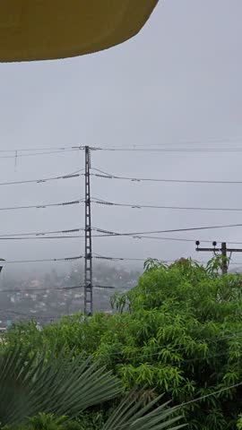 Foggy day between green tree