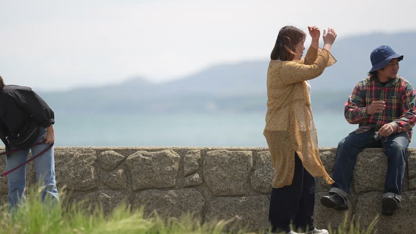Woman walks with dog near sea. Man sits quietly on stone wall. Both overlook calm waters under soft sky. Cozy seaside moment, gentle, peaceful. Suitable for travel, nature, or quiet lifestyle scenes