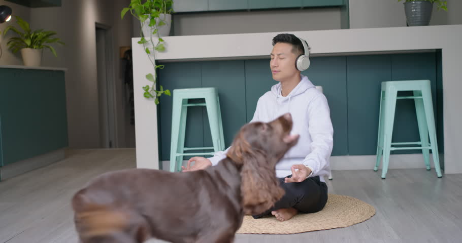 Asian man meditating on mat in kitchen with headset while dog seeking attention then hugging dog. Spaniel, pet, meditation, headphones, cozy, home, serenity