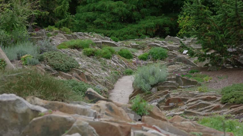 Montreal Botanical garden rock garden with stone path, alpine plants, shrubs and evergreen trees, overcast soft light, peaceful nature walk in Quebec, Canada.