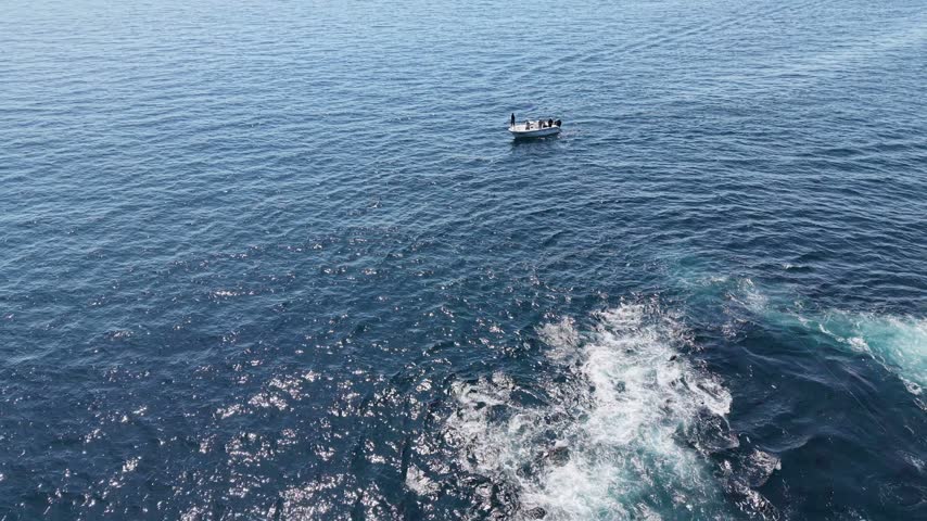 Aerial view of bluefin tuna feeding frenzy creating boiling white water on the ocean surface, small fishing boat in the distance, Brittany, France