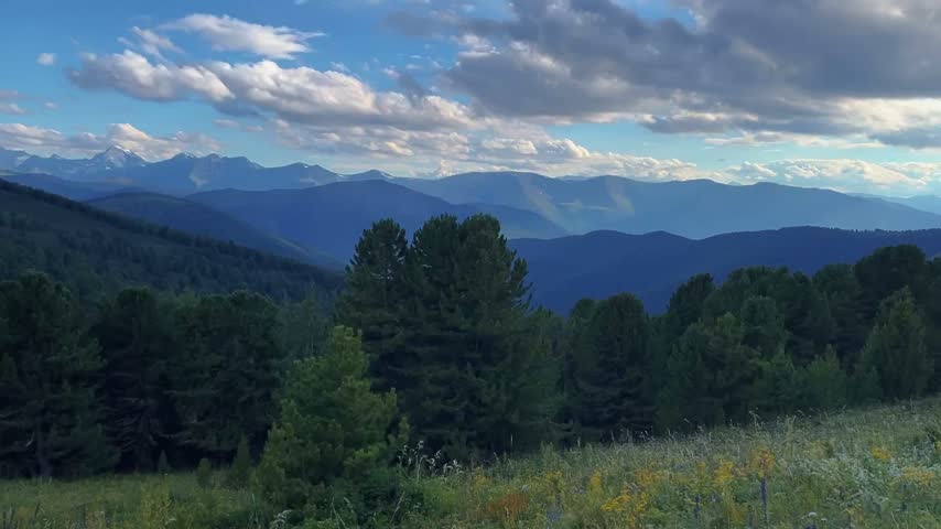 Mountain valley scene displaying dense evergreen forest, layered peaks receding into atmospheric haze, wildflowers dotting meadow, bright cumulus clouds, natural daylight illuminating distant ridges.