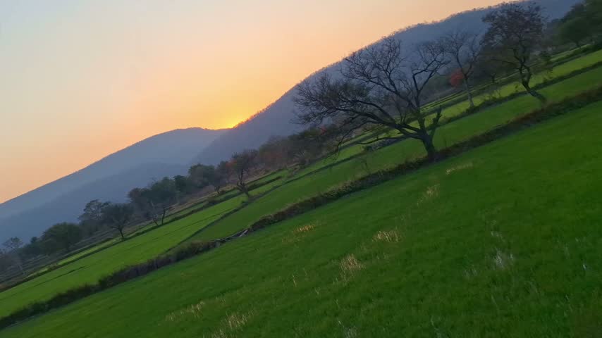 Beautiful Sunset Over Green Agricultural Field and Mountains
