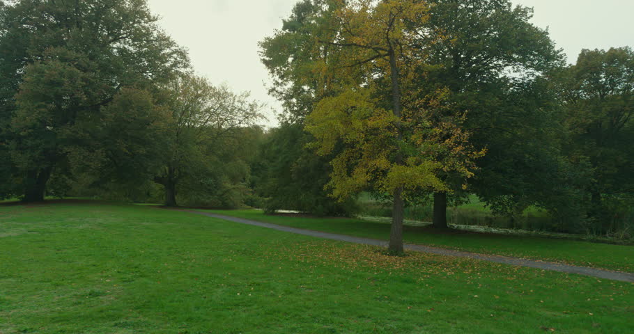 A gravel path runs through a park, garden with fallen leaves and trees in The Hague, Netherlands, Europe. The path is surrounded by green lawn and mature trees with yellow and brown foliage.