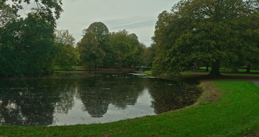 A dark pond reflects trees, greenery and a gray sky, clouds in The Hague, Netherlands, Europe. A green lawn with fallen leaves borders the pond on one side, while mature trees line the other.
