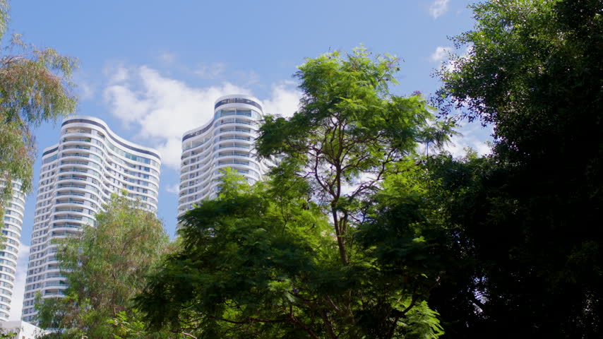 Green trees against the backdrop of the Tel Aviv, Israel skyline. Houses against the sky.
