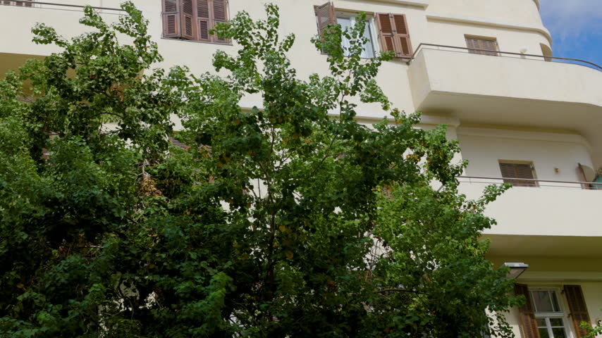 Green trees against the backdrop of the Tel Aviv, Israel skyline. Houses against the sky.