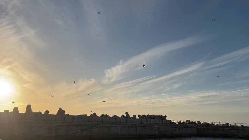 Birds flying amongst the clouds at sunset