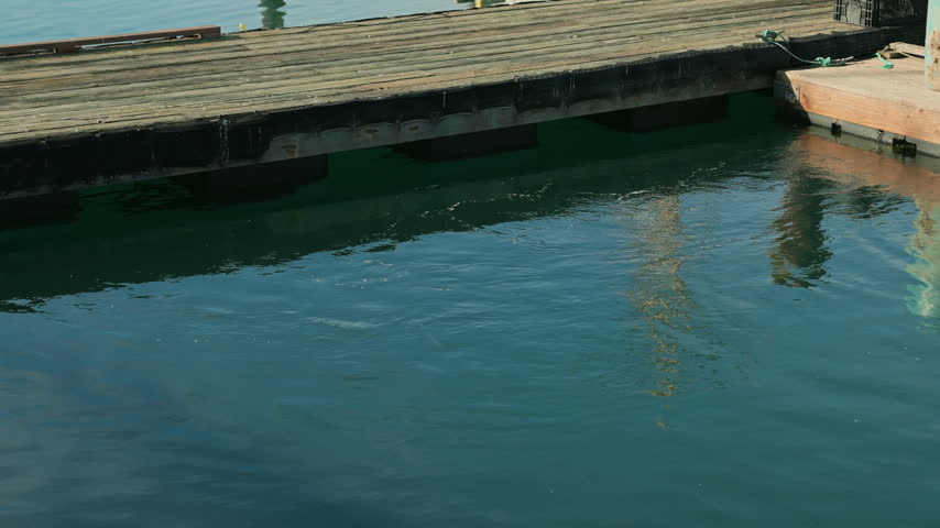 Boat docking at the marina harbor in Morro Bay with reflection in the water