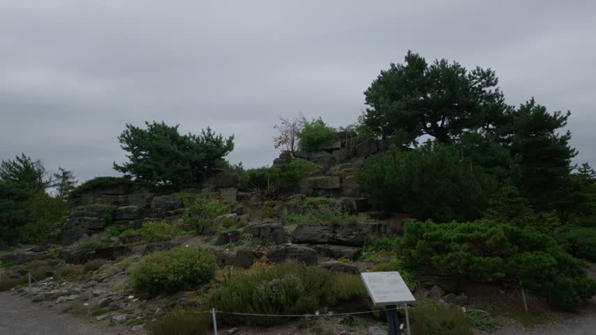 Montreal Botanical garden rocky hillside with pine trees, stone outcrops and low shrubs, walk in shot under moody grey sky, calm nature landscape, Quebec, Canada.