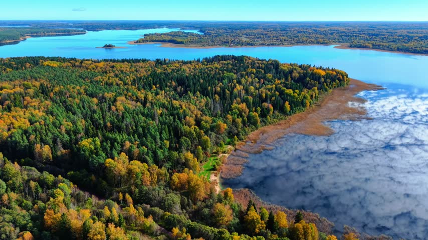 Aerial view of vibrant autumn forest surrounding a tranquil lake with changing leaves