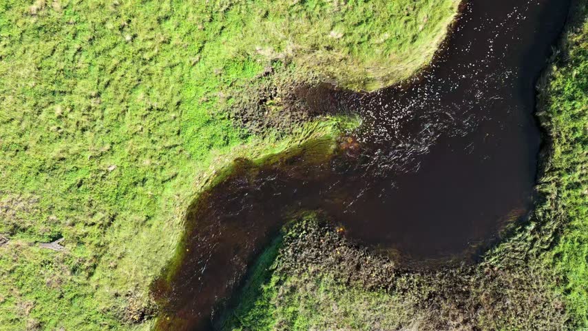 Top-down aerial view of dark river water flowing with white foam through a green field in slow motion.