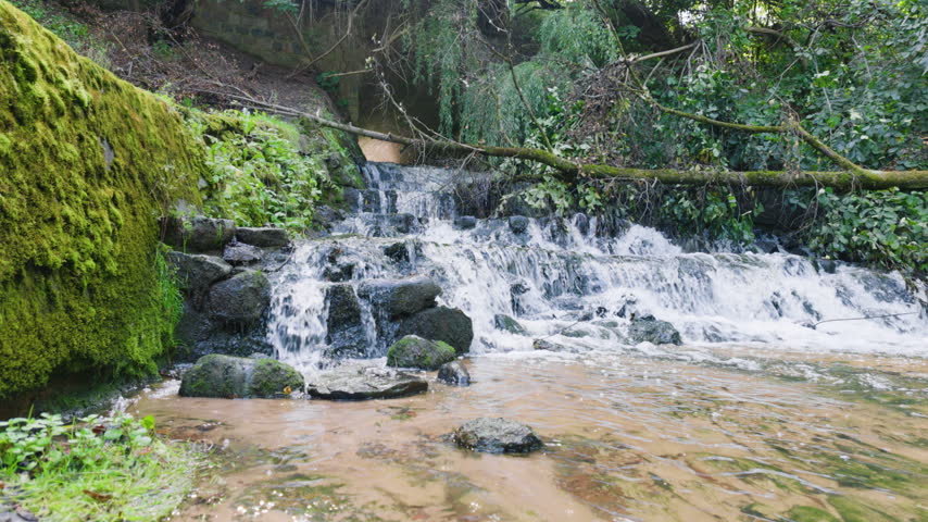 Small waterfall cascading over rocks in a forest stream