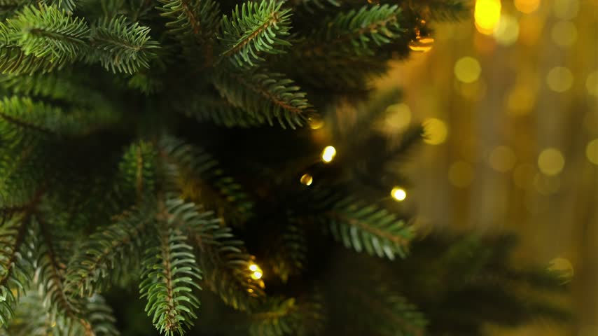 Woman decorating Christmas tree, hanging golden Christmas ornaments.