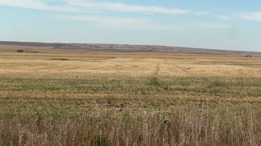 Wide Open Alberta Farmland and Golden Autumn Fields Stretching Across the Peaceful Canadian Prairie Countryside