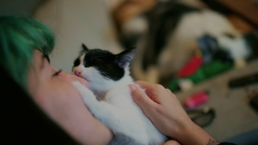 Young woman with green hair holding a tiny black and white kitten. Adorable pet showing affection by licking its owner