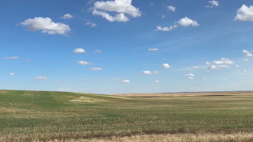 Wide Open Alberta Farmland and Golden Autumn Fields Stretching Across the Peaceful Canadian Prairie Countryside