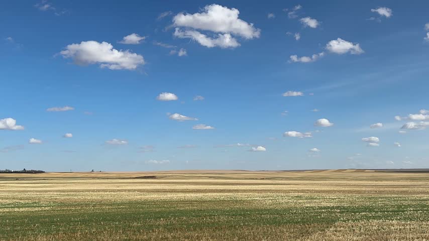 Wide Open Alberta Farmland and Golden Autumn Fields Stretching Across the Peaceful Canadian Prairie Countryside