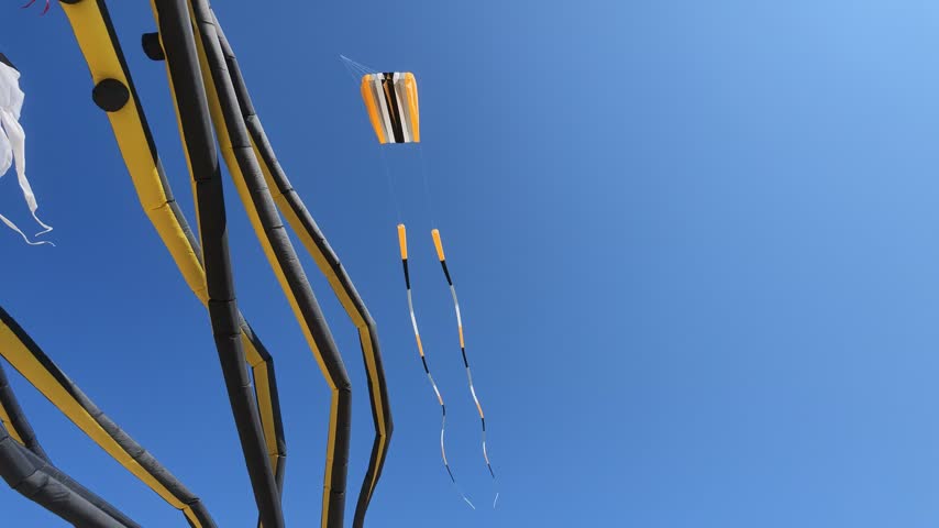 Kites flying over the beach in Grand Haven, Michigan with stable video.